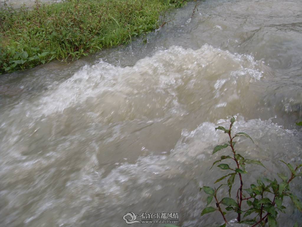 SDC12932.JPG
