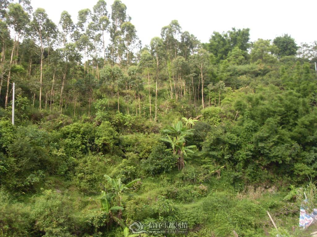 SDC12934.JPG