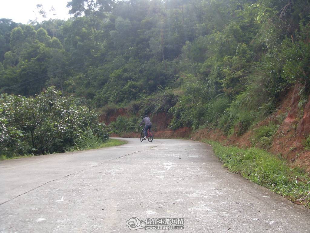 SDC12945.JPG