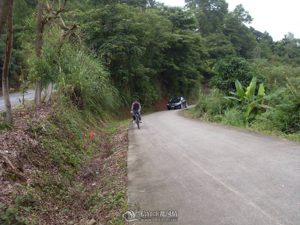 SDC12946.JPG