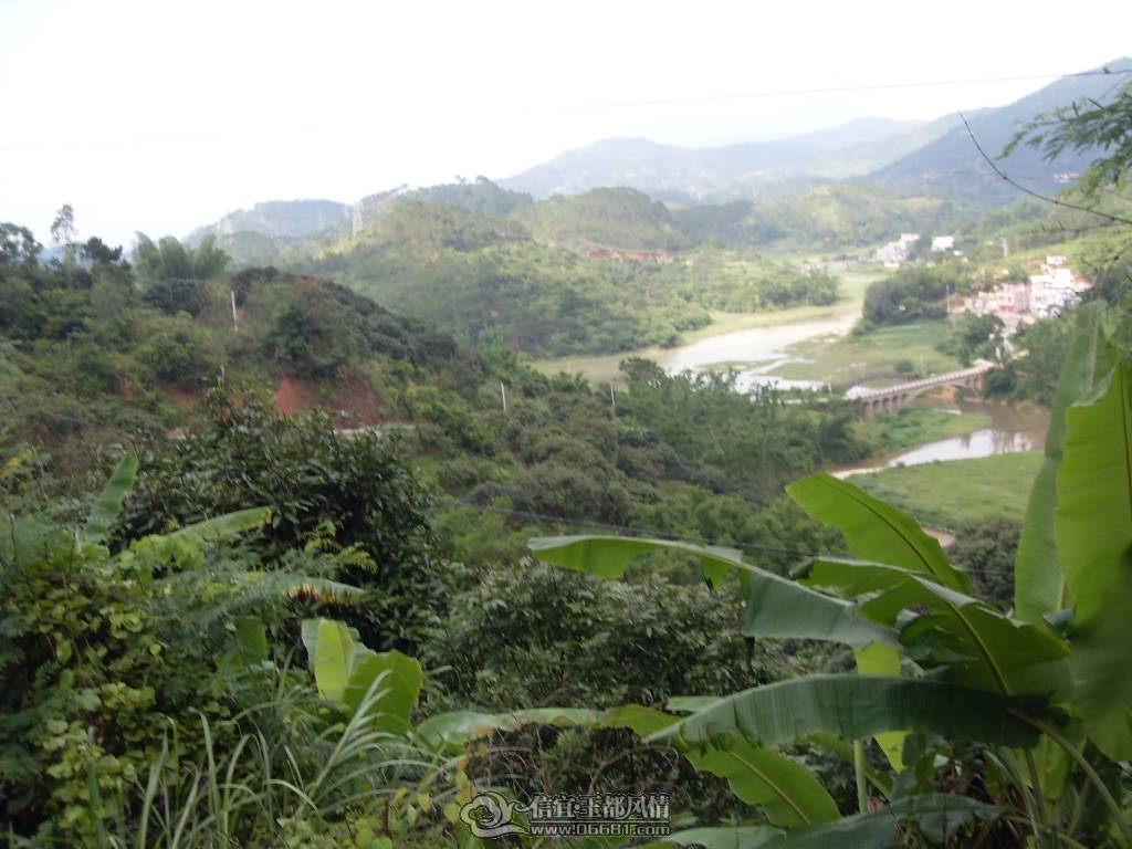 SDC12947.JPG