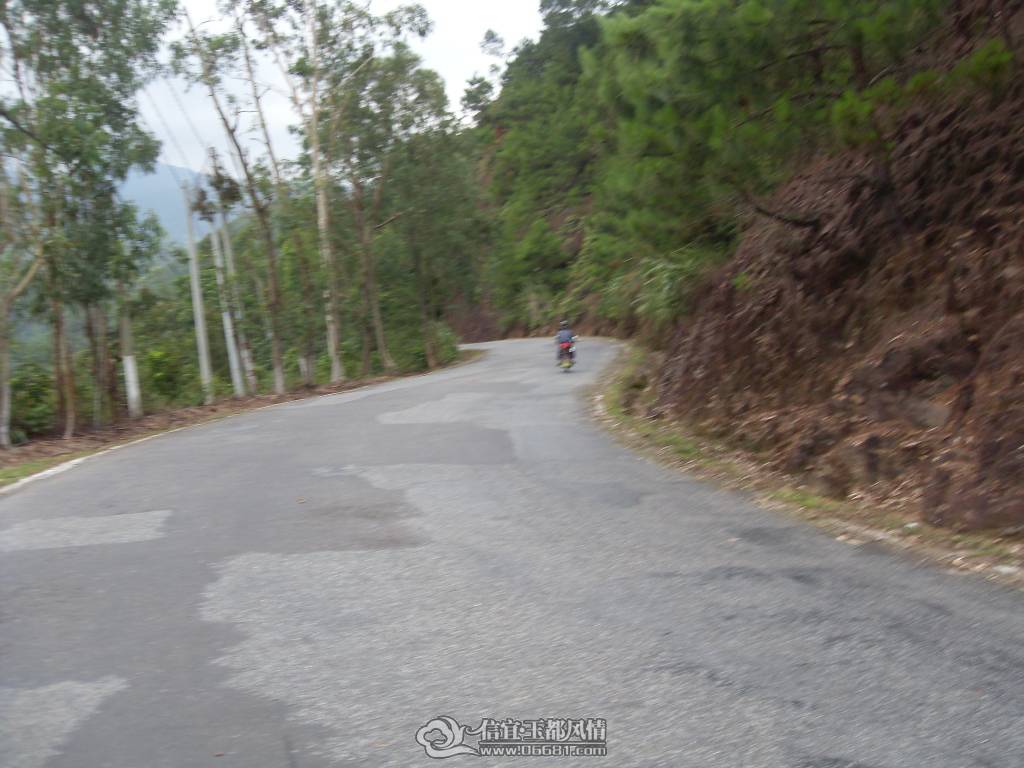 SDC12949.JPG
