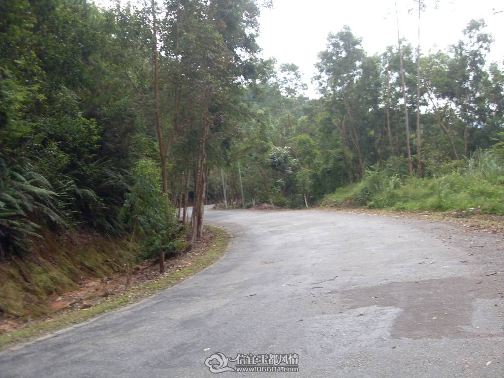 SDC12950.JPG