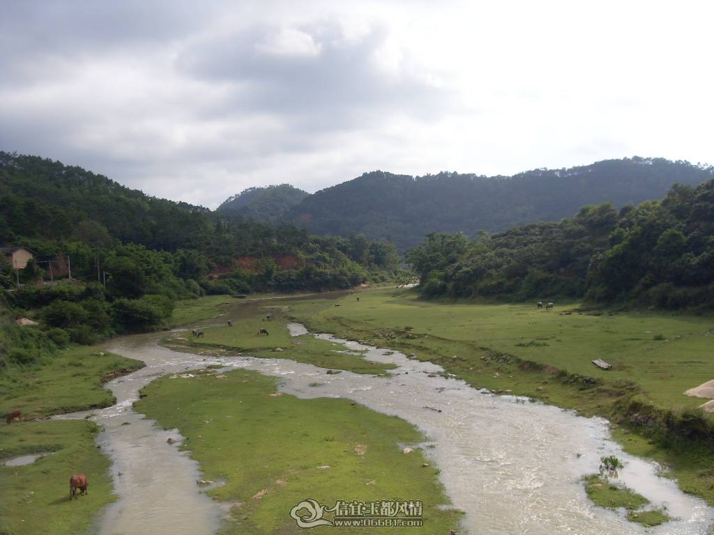 SDC12939.JPG