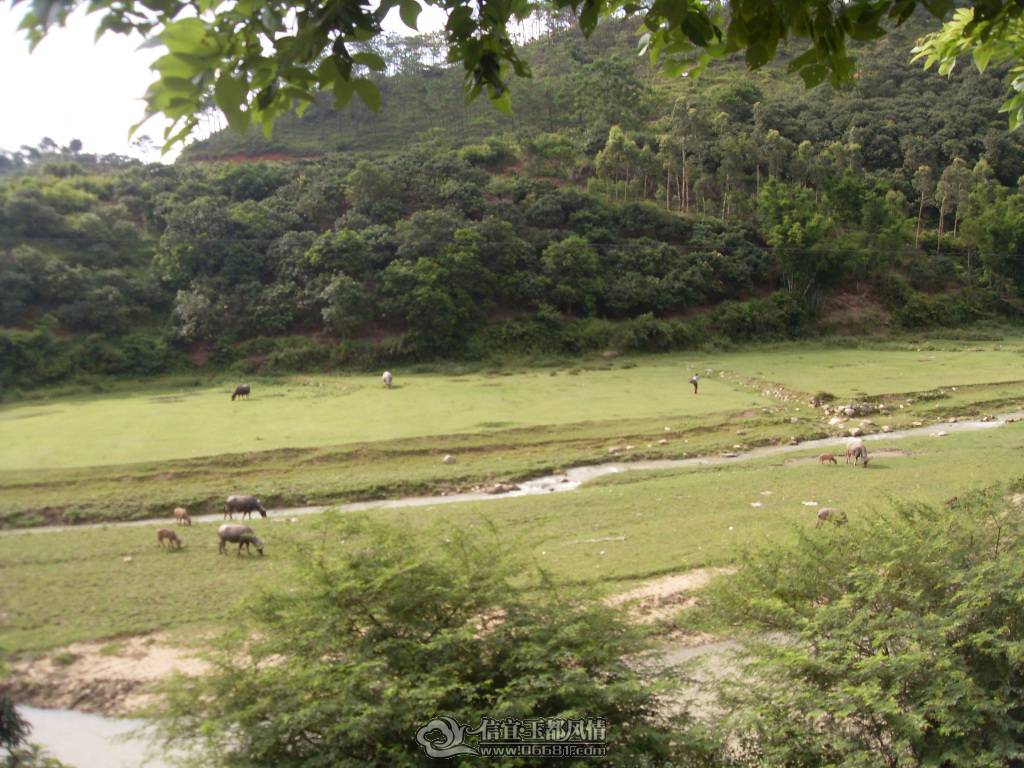 SDC12940.JPG