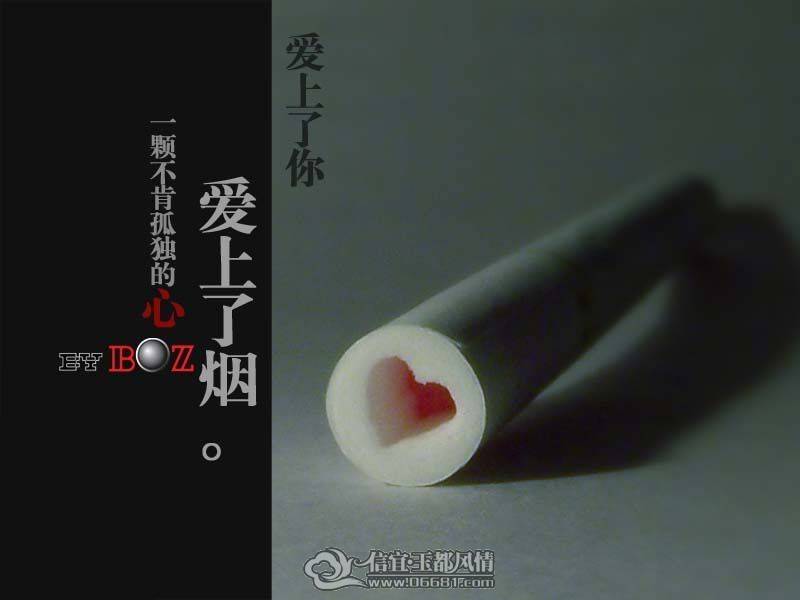 7f04caec8369c3f5b31cb18a.jpg