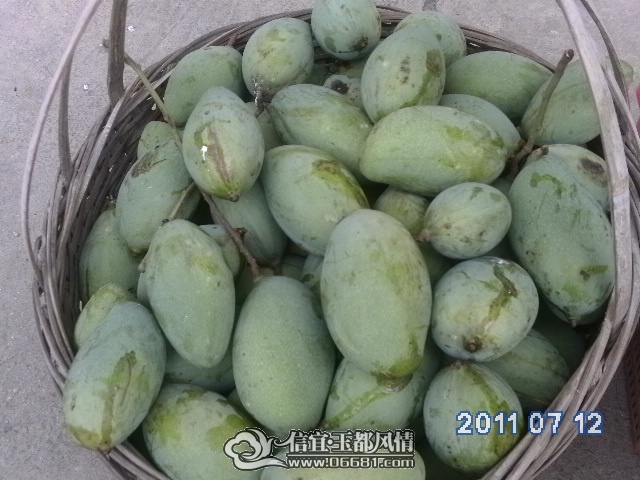 PICT0354.JPG