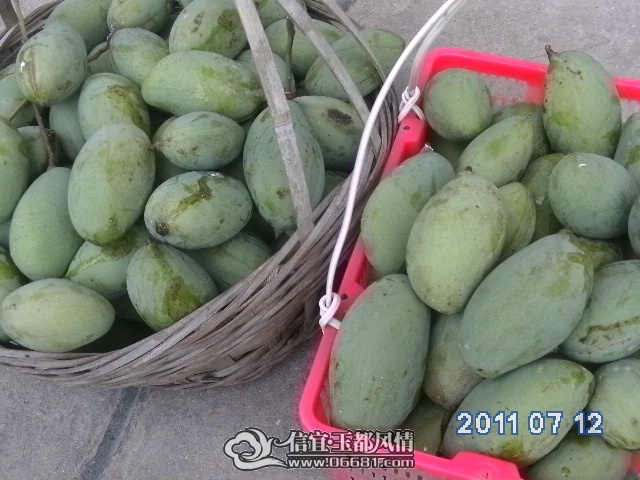 PICT0358.JPG