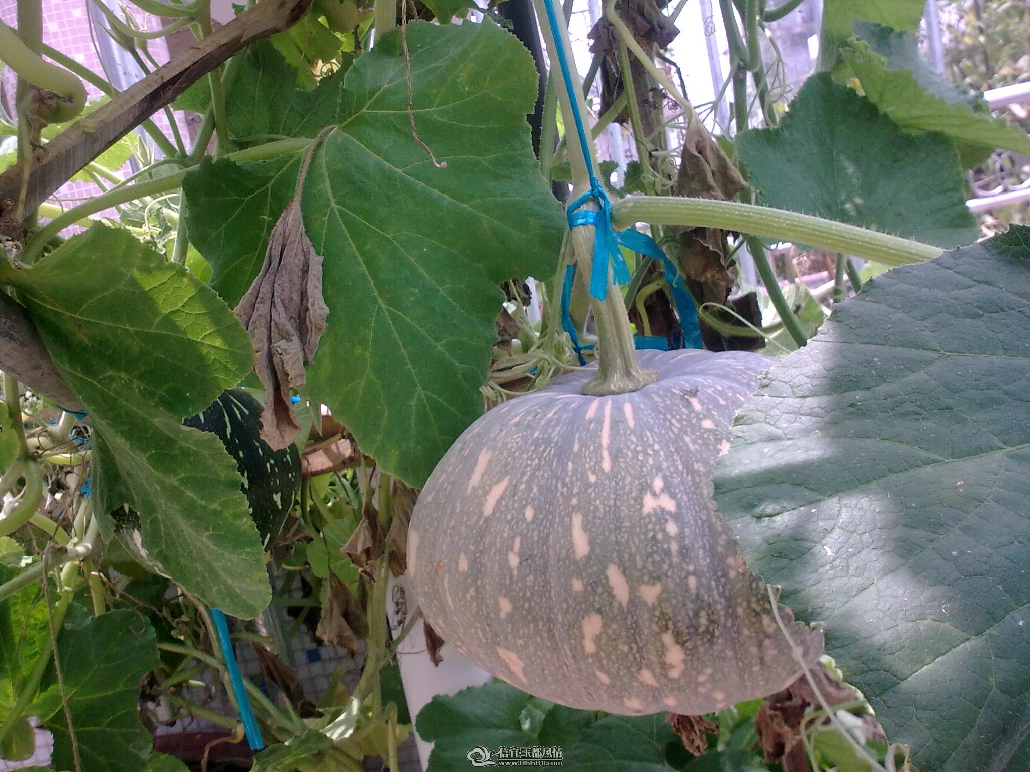20110715_001.jpg