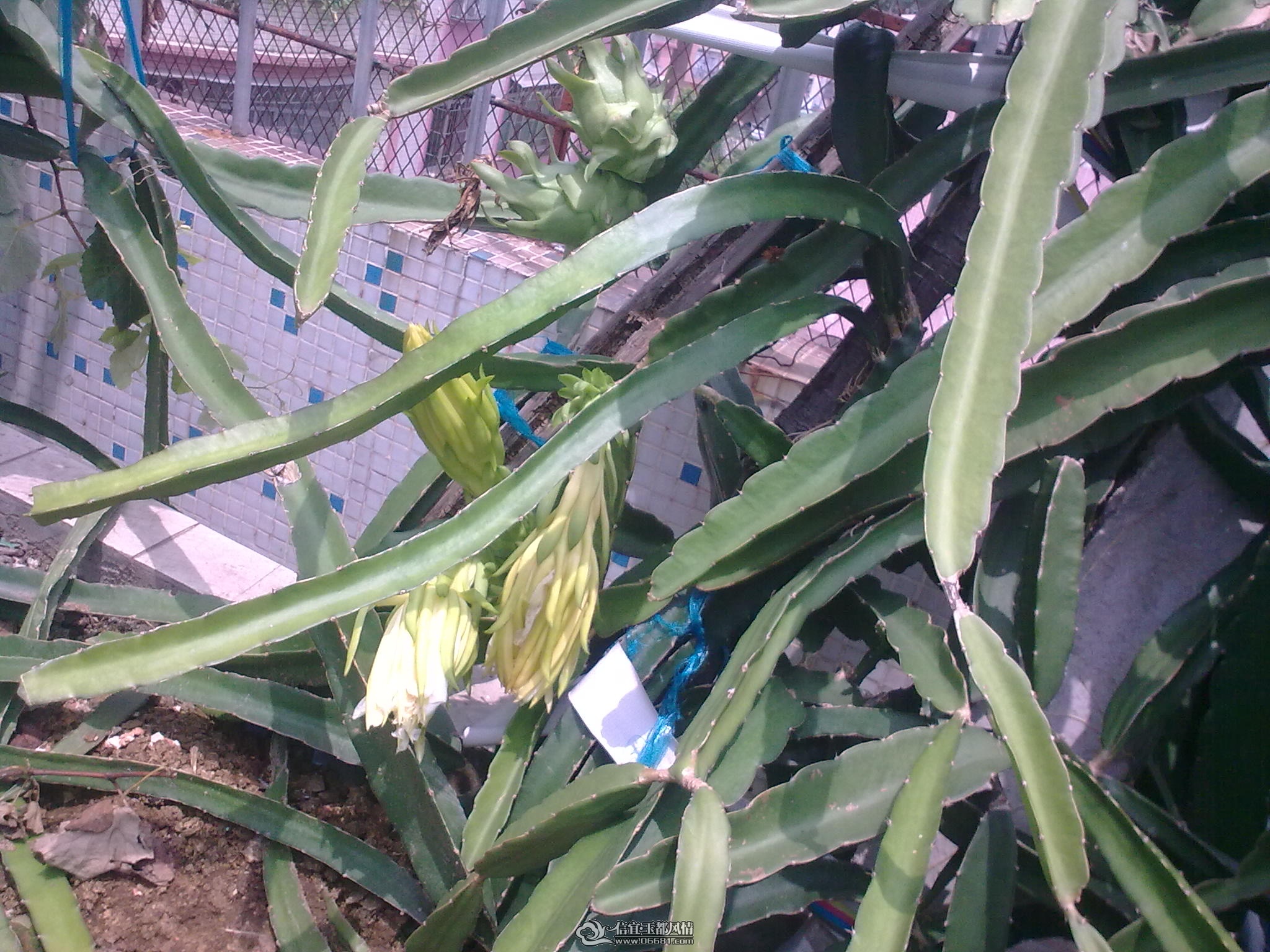 20110715_002.jpg