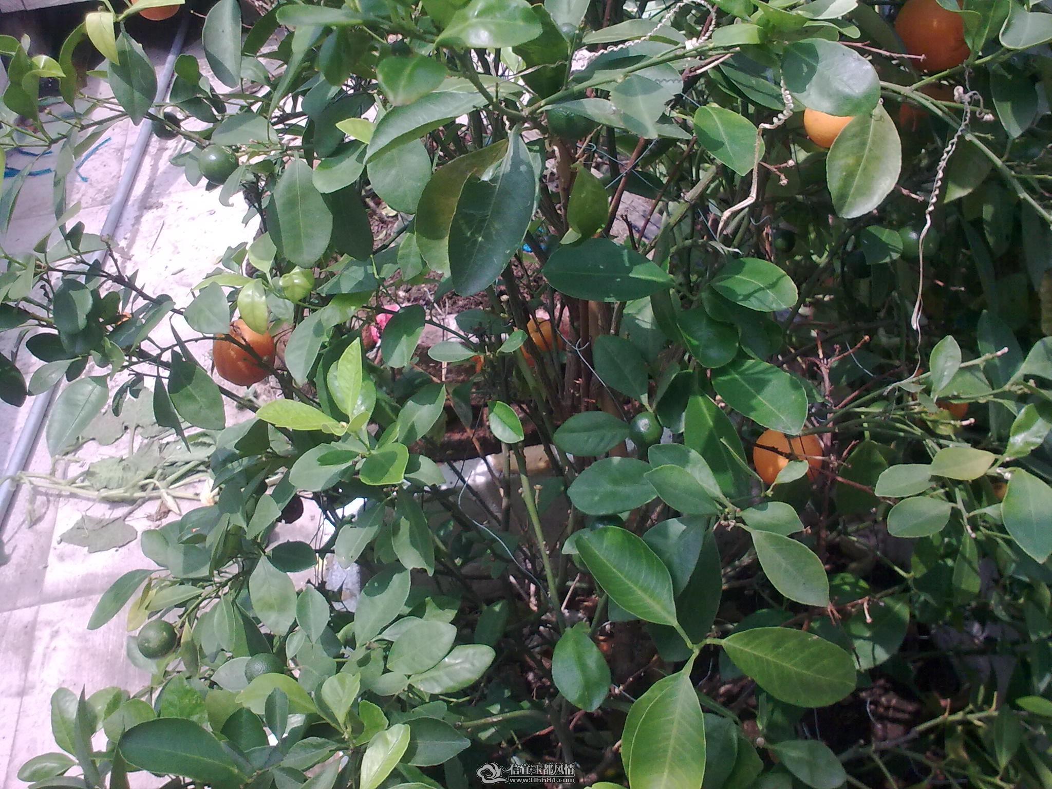 20110715_012.jpg