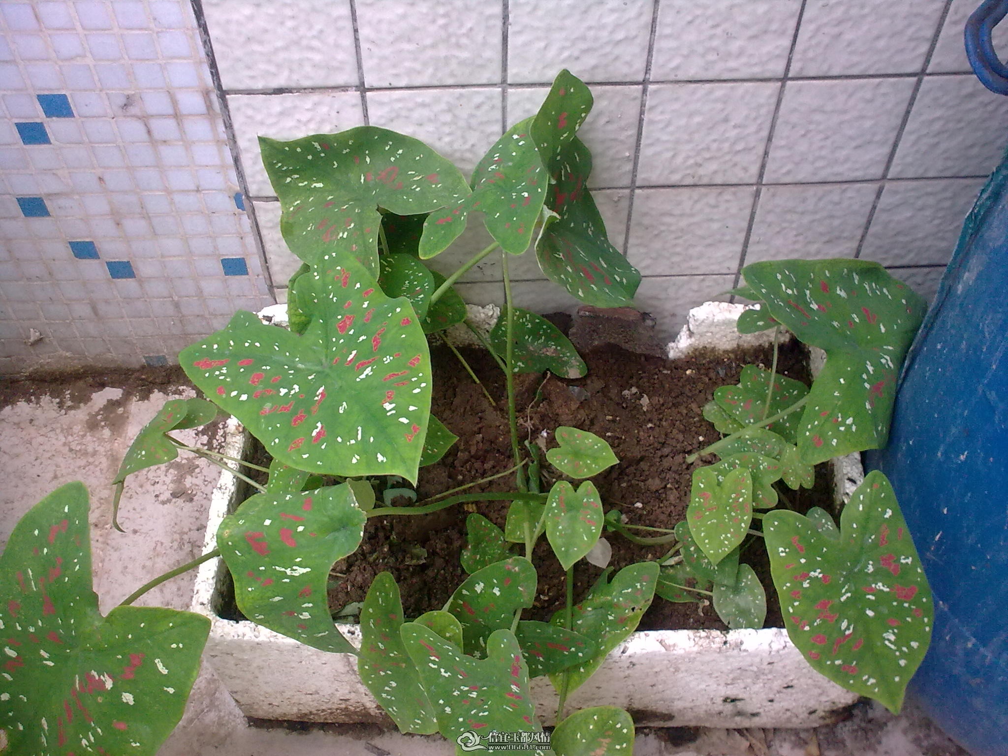 20110715_013.jpg