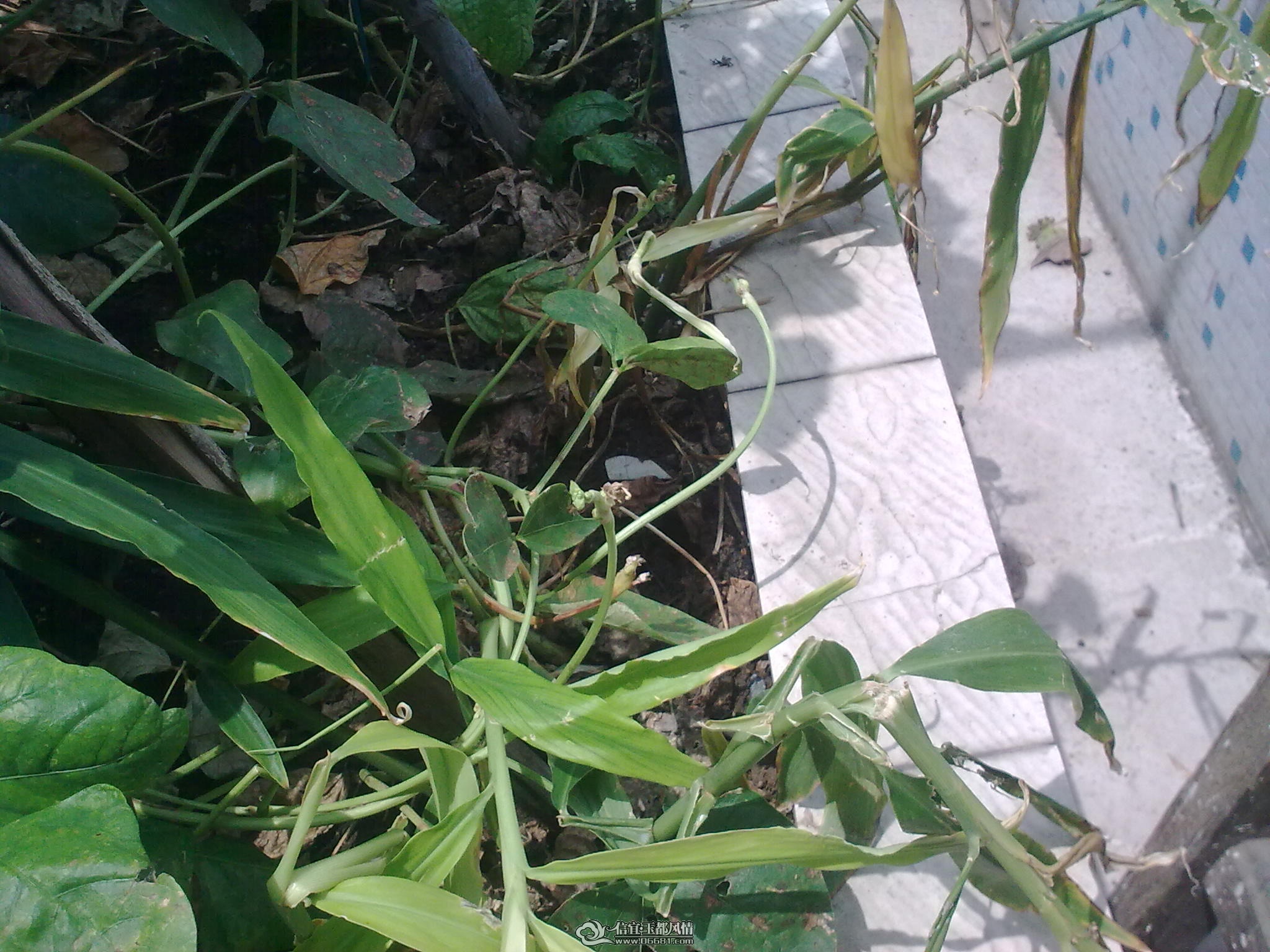 20110715_014.jpg