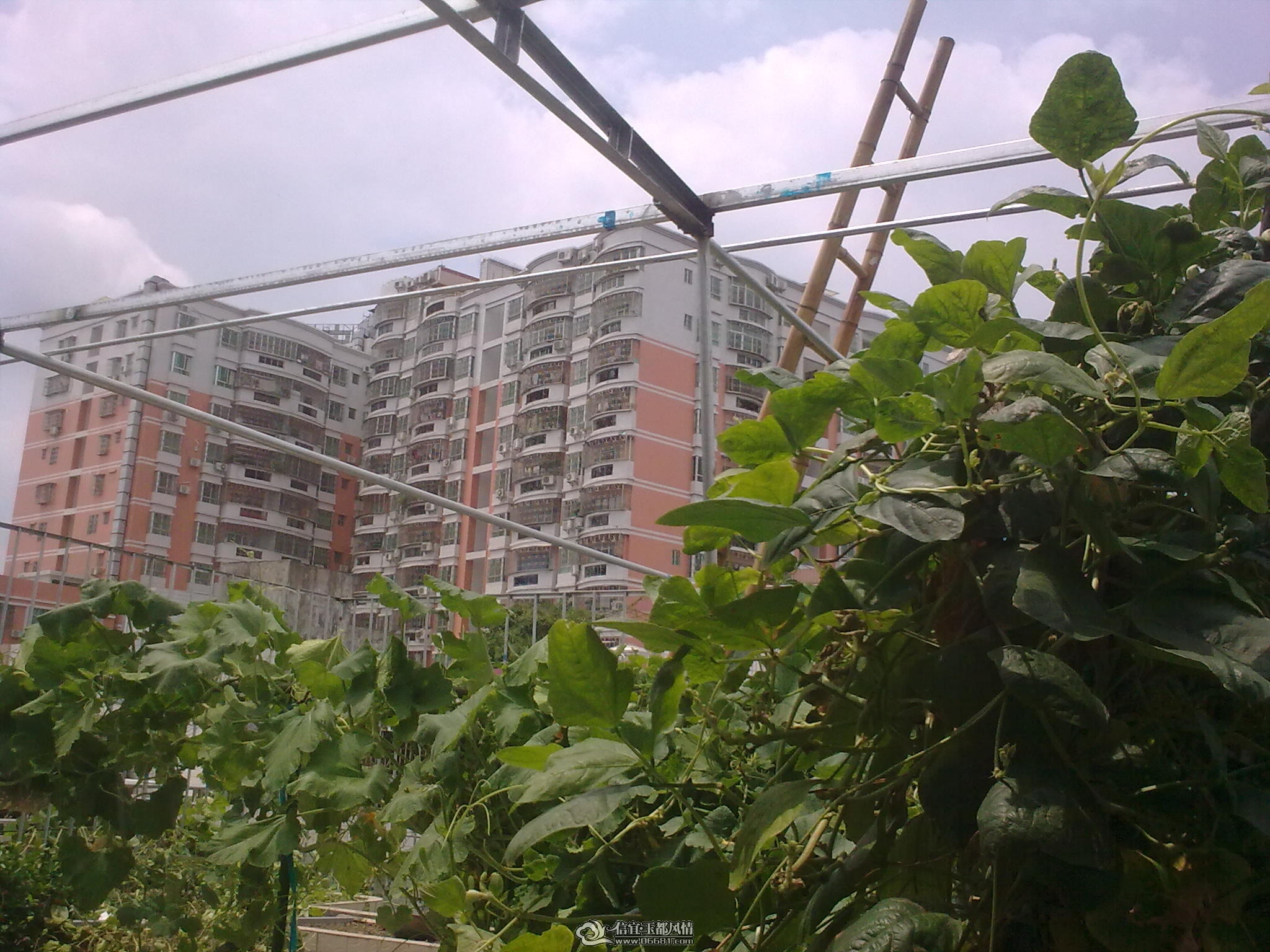20110715_015.jpg