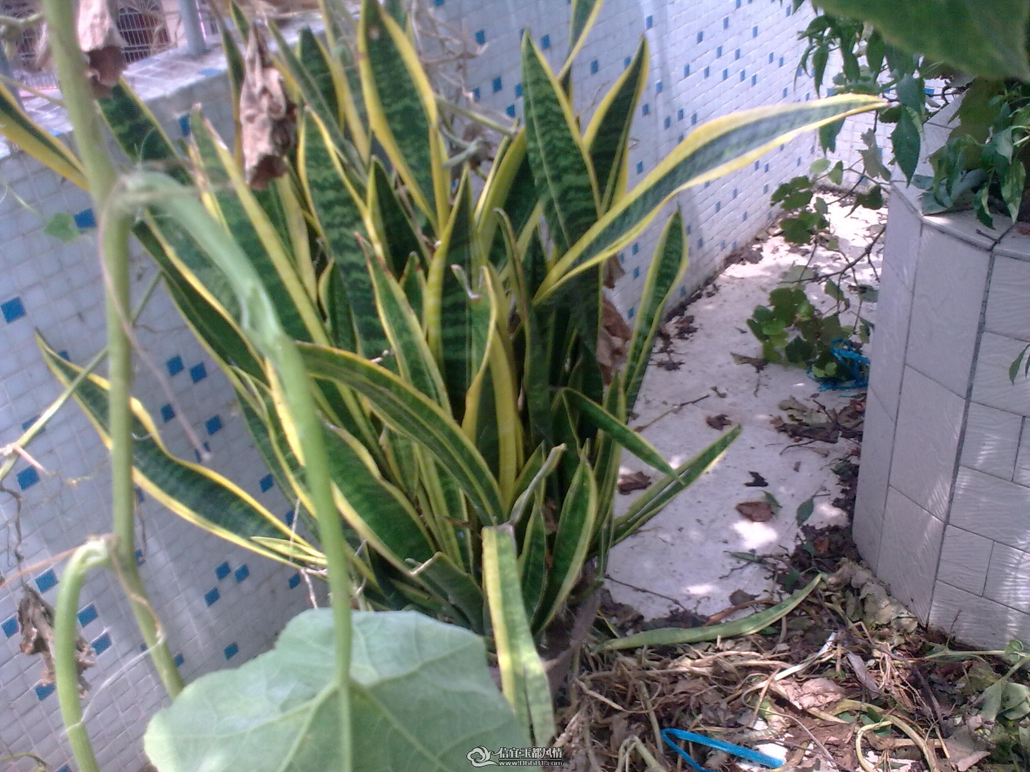 20110715_009.jpg