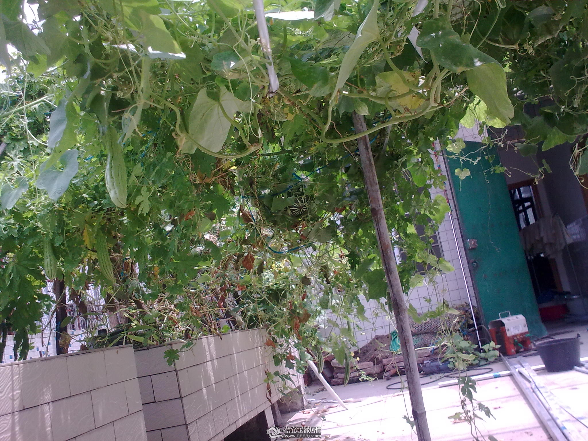 20110715_005.jpg