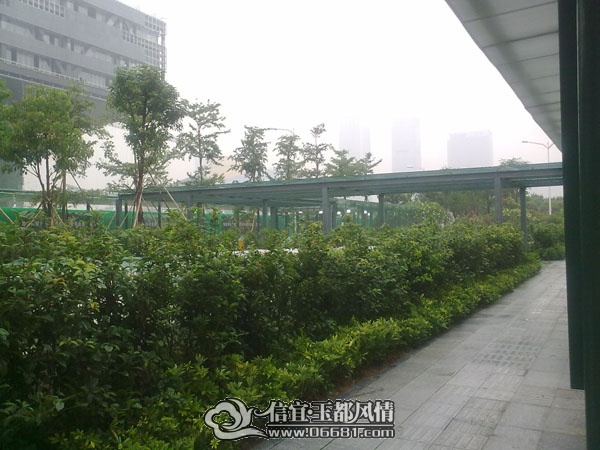 201107112348.jpg