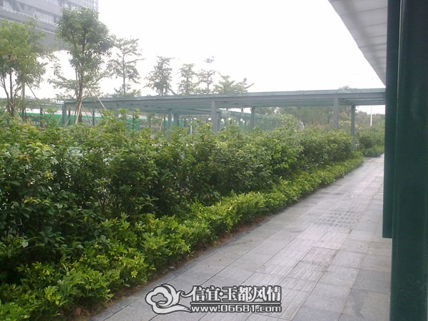 201107112349.jpg