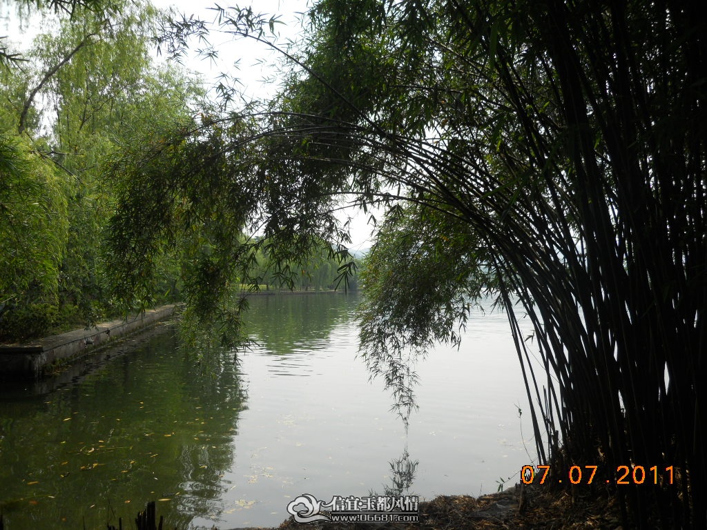 DSCN0469.JPG