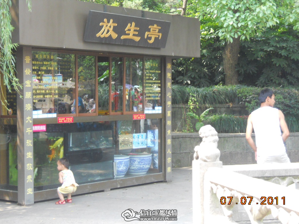 DSCN0478.JPG