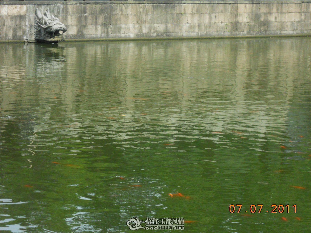 DSCN0480.JPG