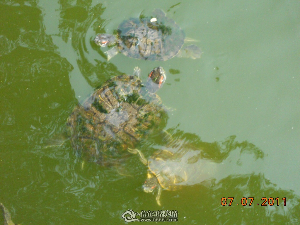DSCN0481.JPG