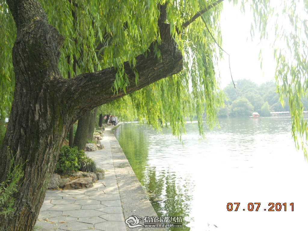 DSCN0510.JPG