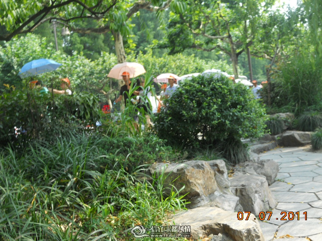 DSCN0511.JPG