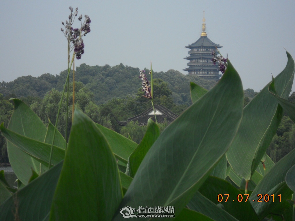 DSCN0516.JPG