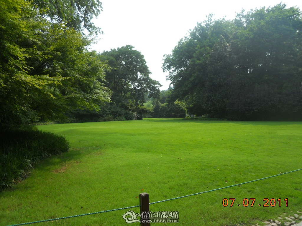 DSCN0517.JPG
