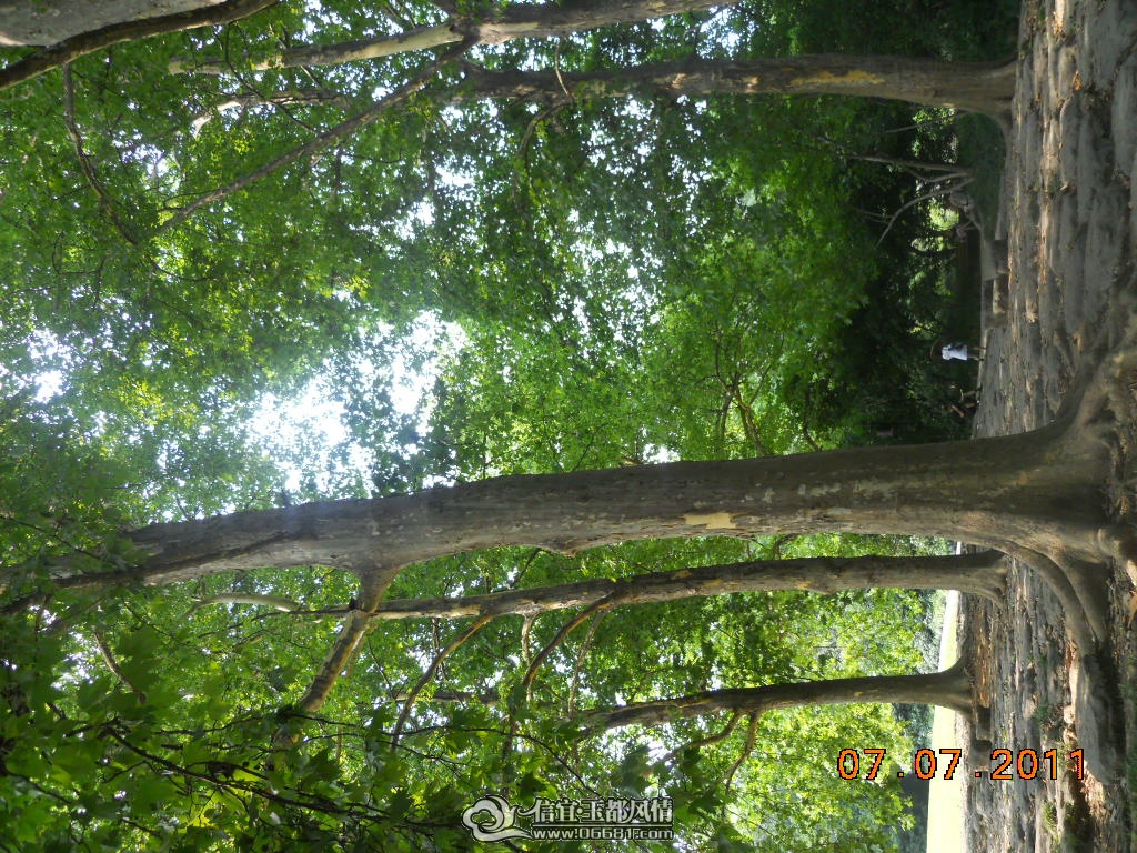 DSCN0524.JPG