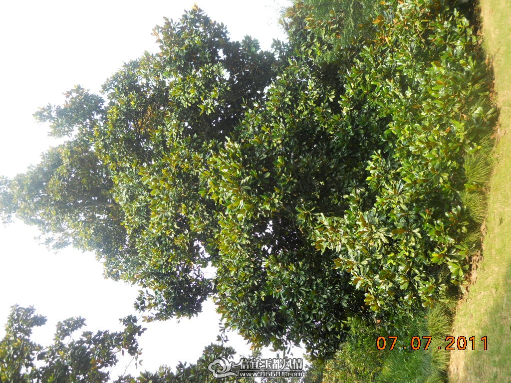DSCN0531.JPG