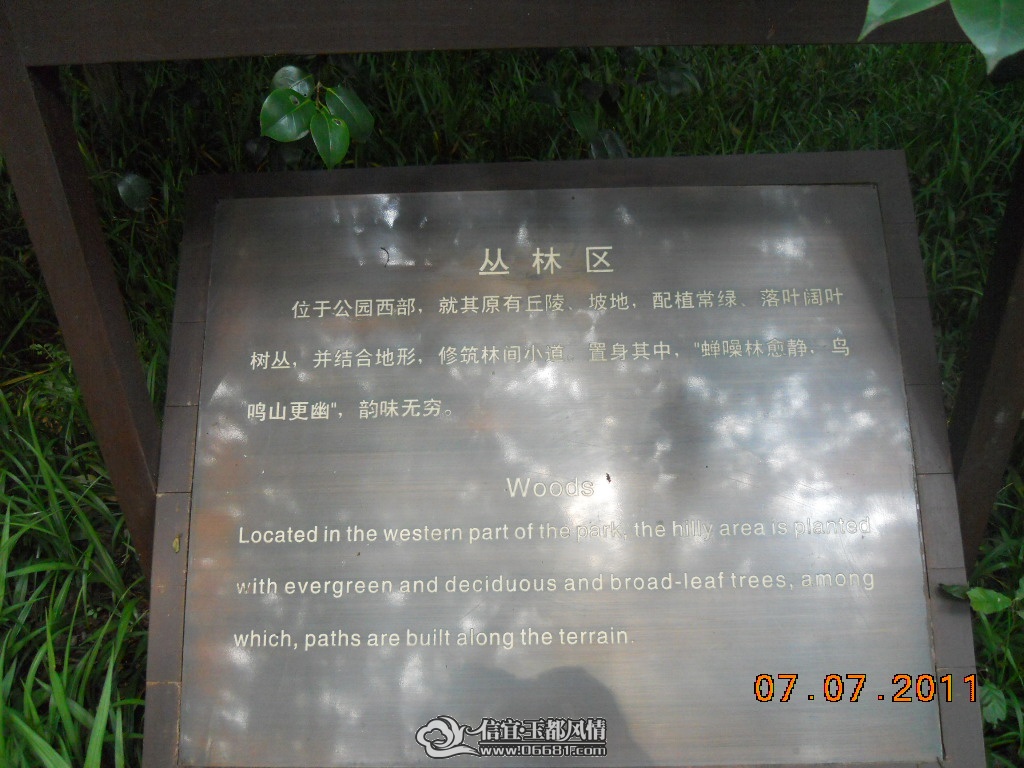 DSCN0534.JPG