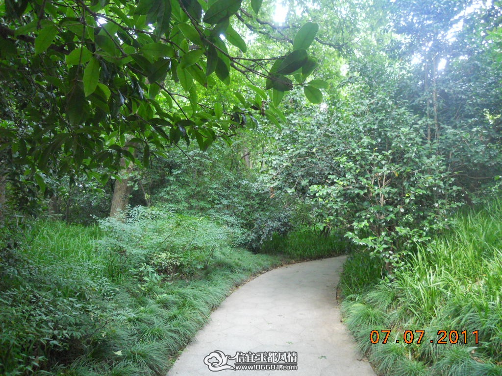 DSCN0535.JPG