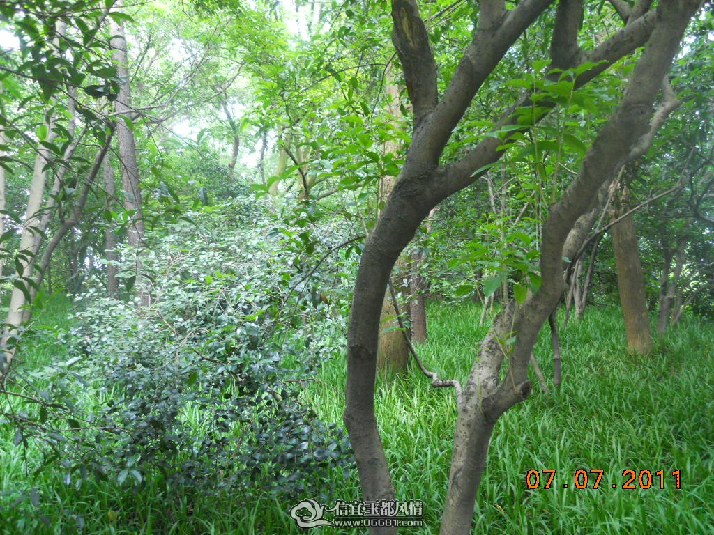 DSCN0536.JPG
