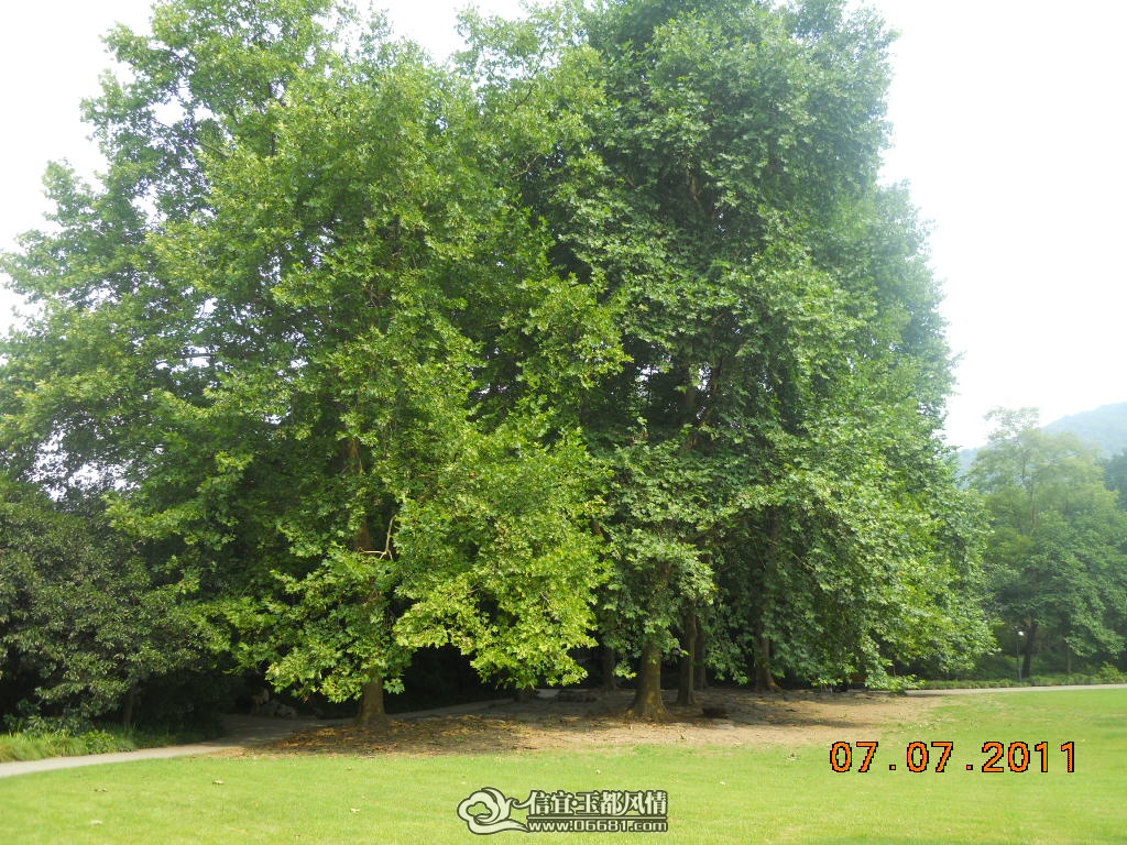 DSCN0537.JPG