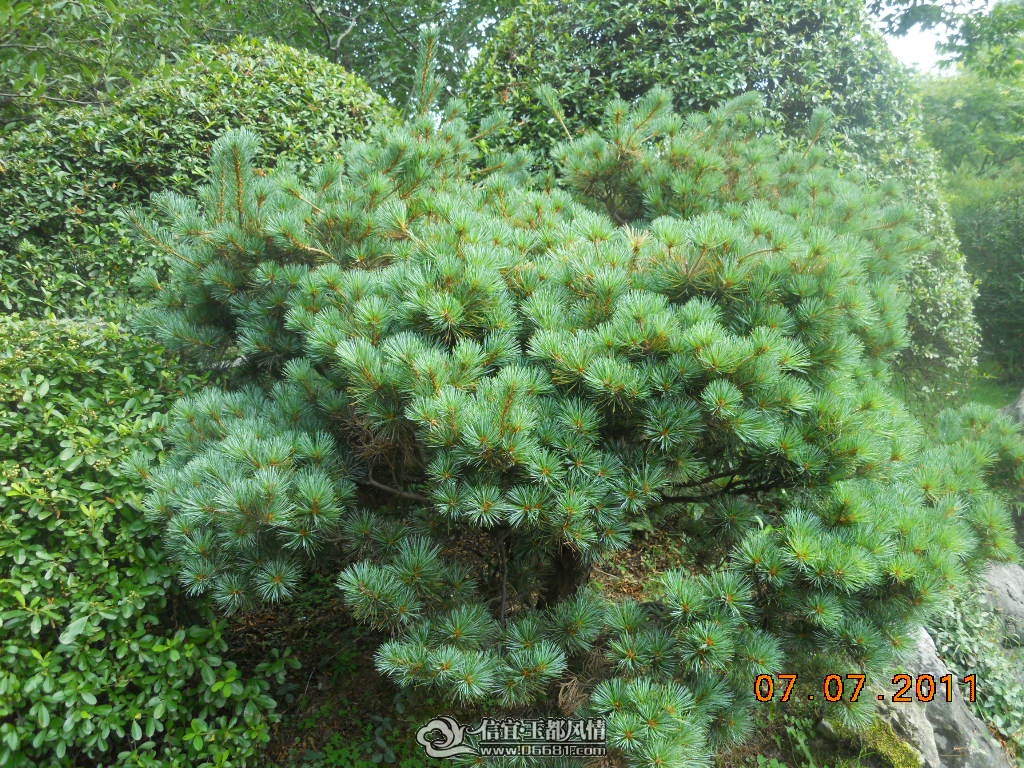 DSCN0541.JPG