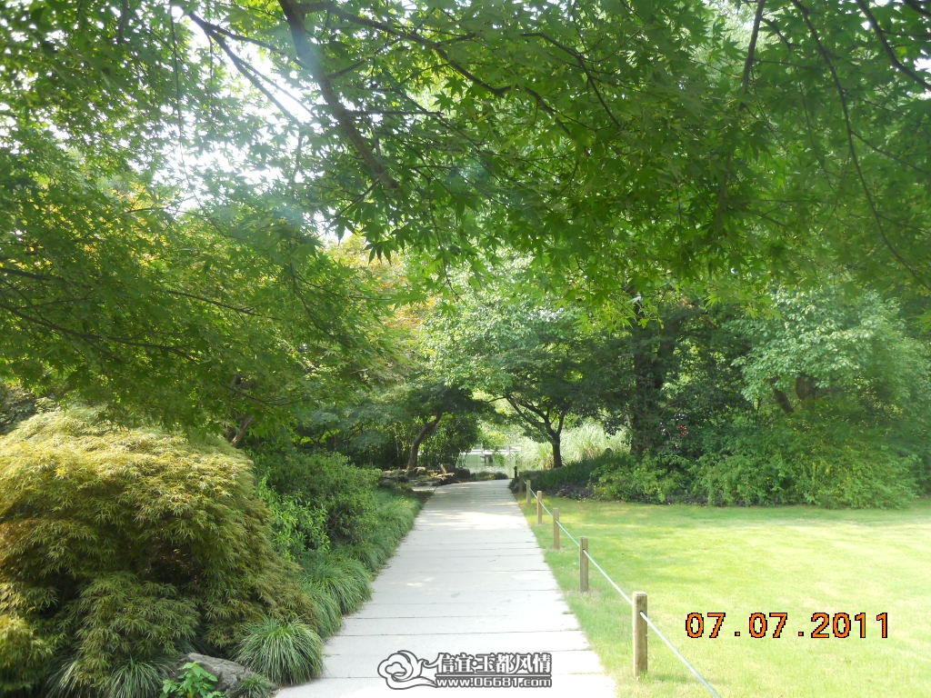 DSCN0545.JPG