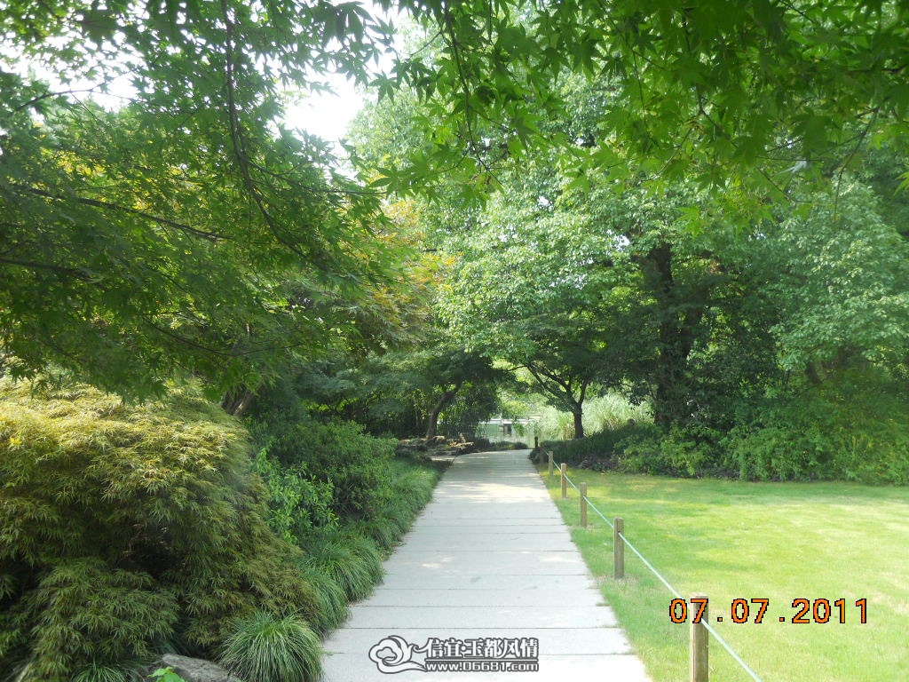 DSCN0546.JPG