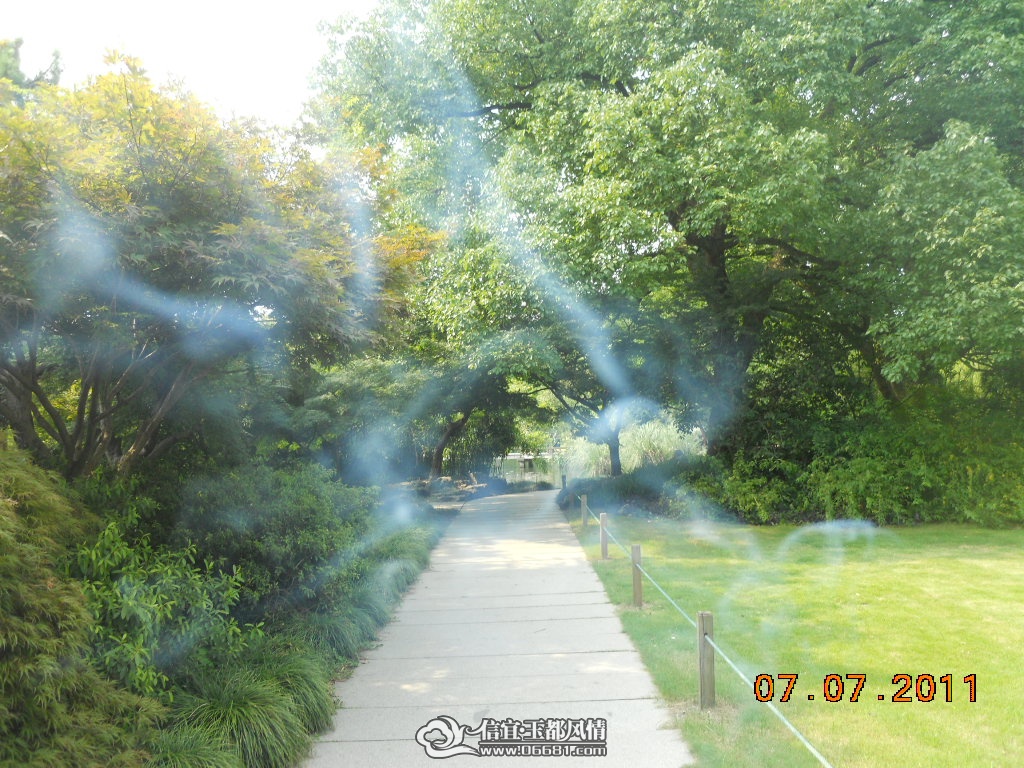 DSCN0547.JPG