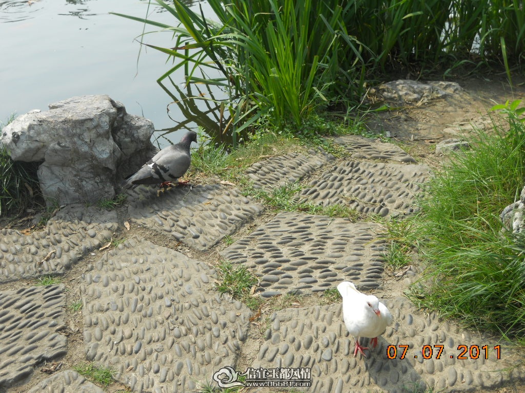 DSCN0550.JPG