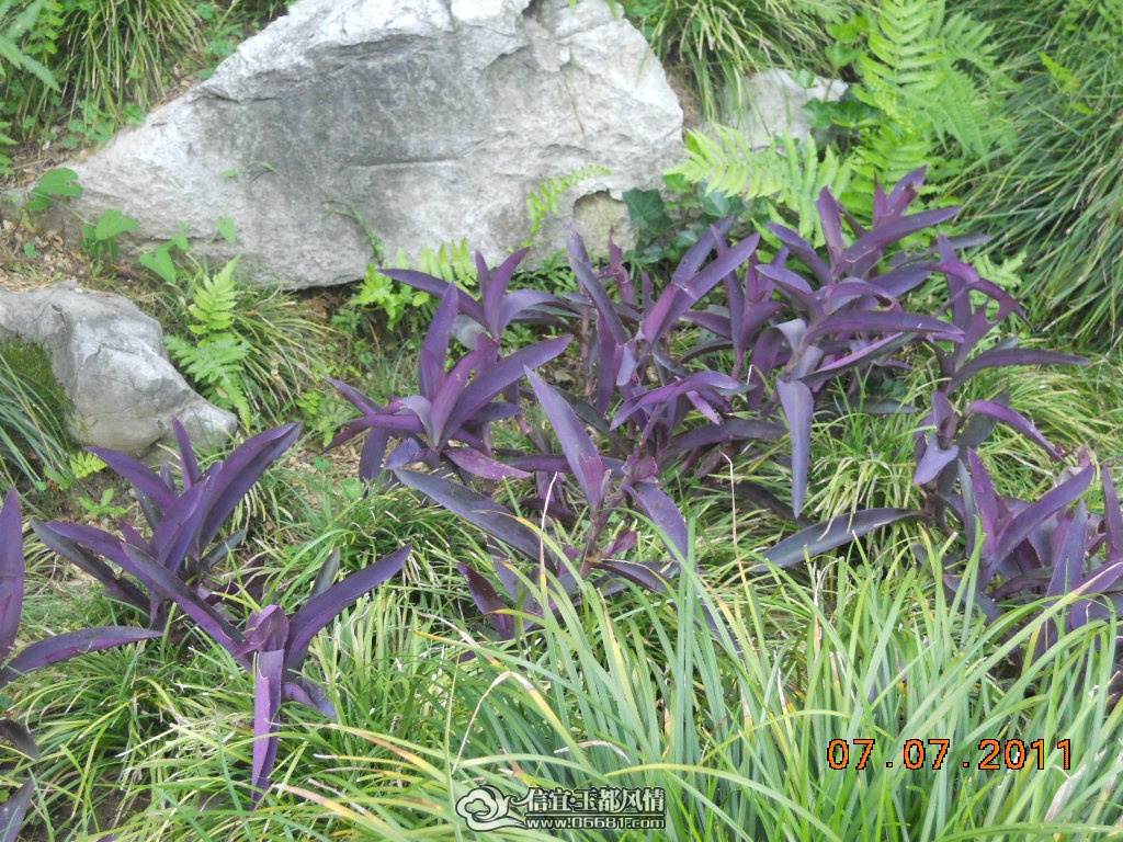 DSCN0553.JPG