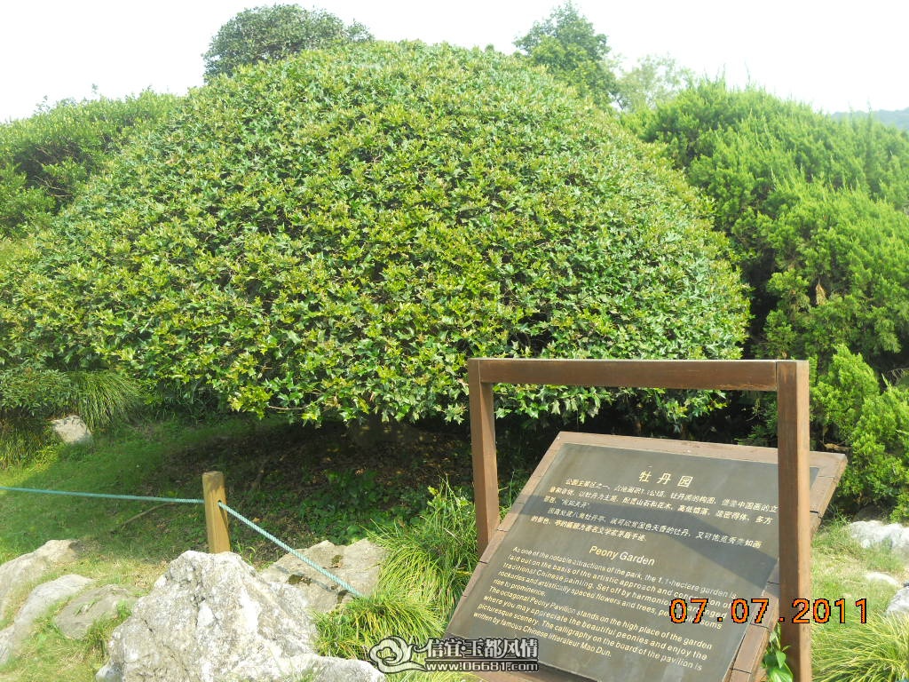 DSCN0557.JPG