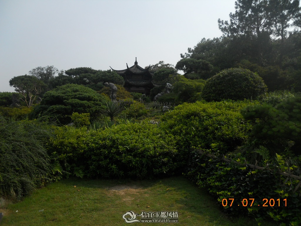 DSCN0559.JPG