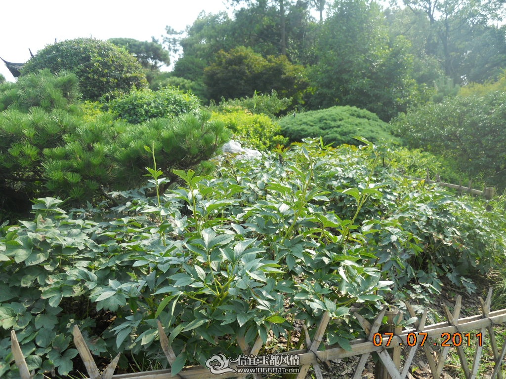 DSCN0560.JPG