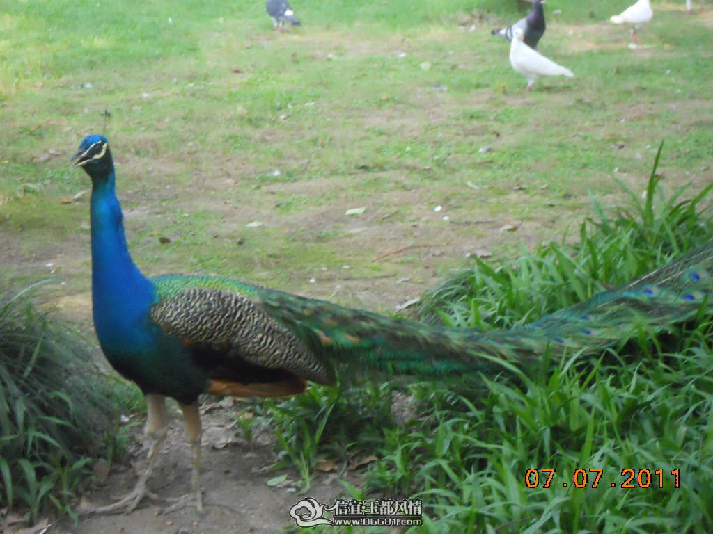 DSCN0561.JPG