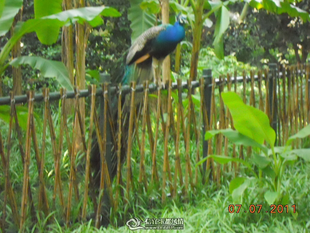 DSCN0566.JPG