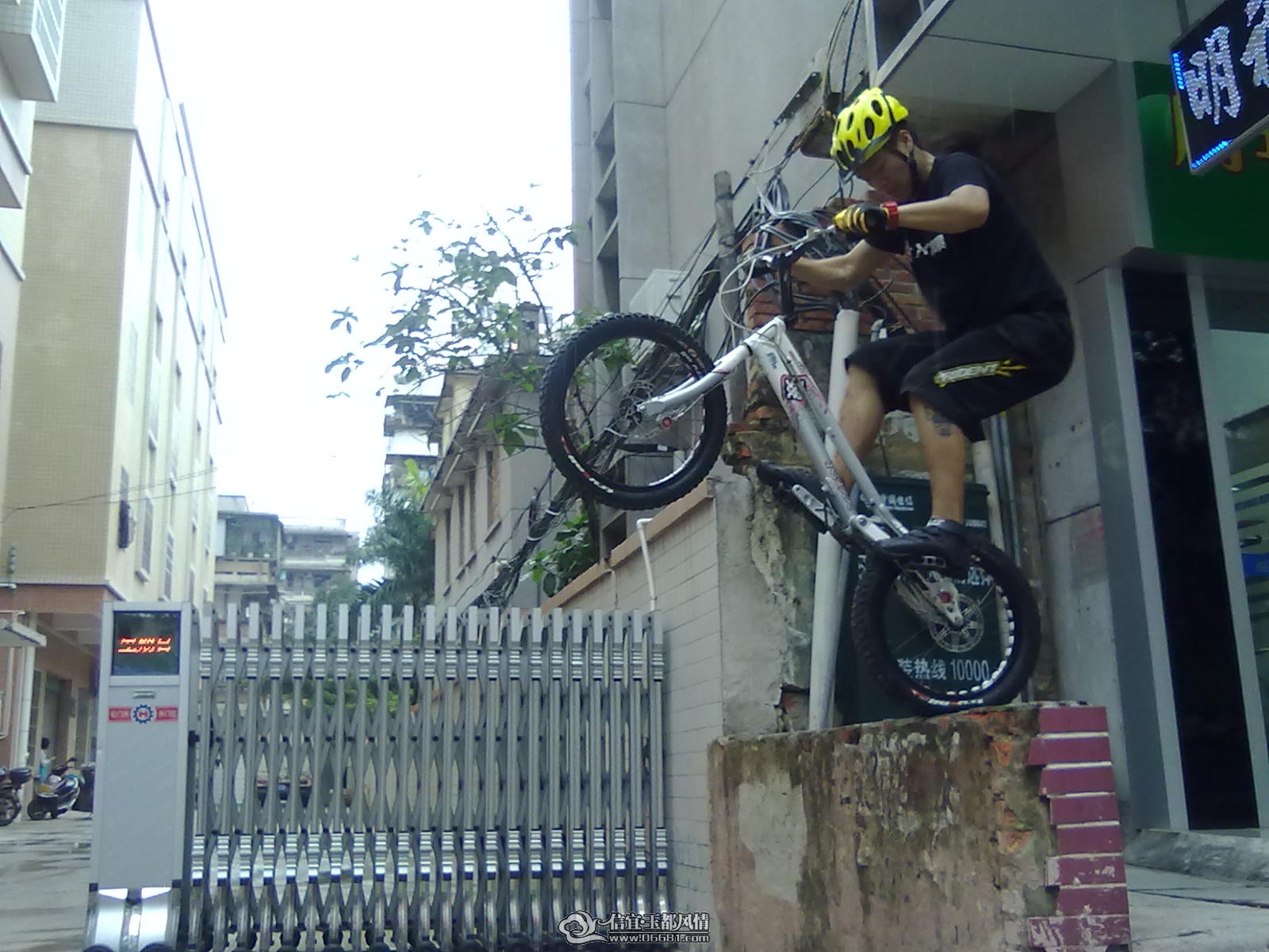 20110522221.jpg