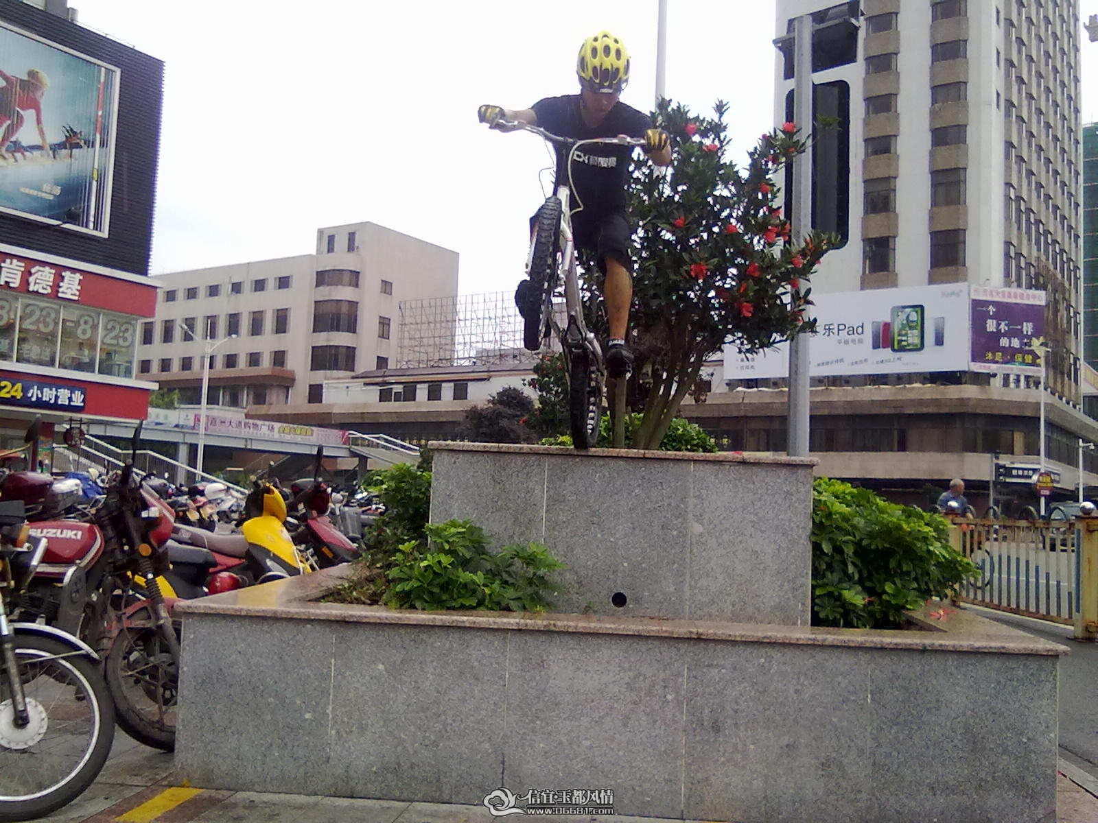 20110522224.jpg