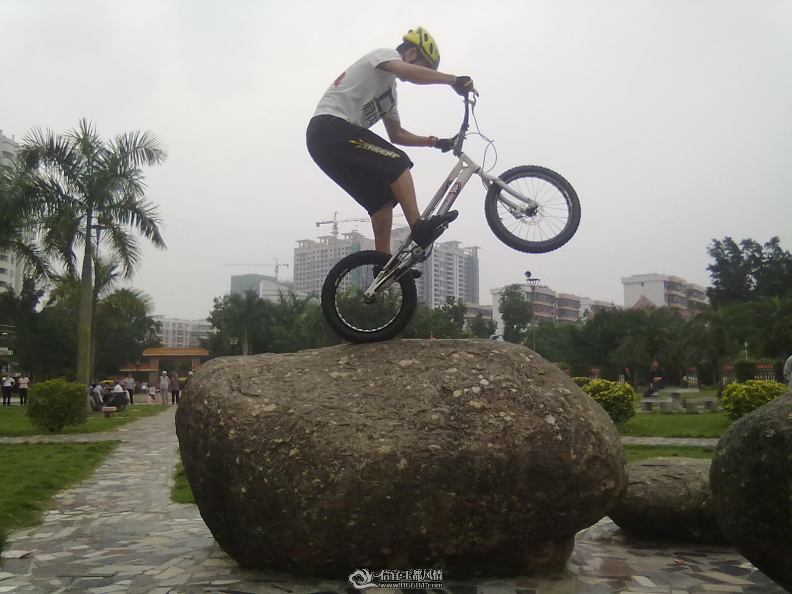 20110524226.jpg